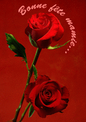 Douces roses pour une mamie ch&eacute;rie